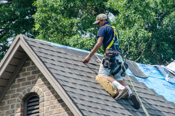 Best New Roof Installation  in Cheyenne, WY